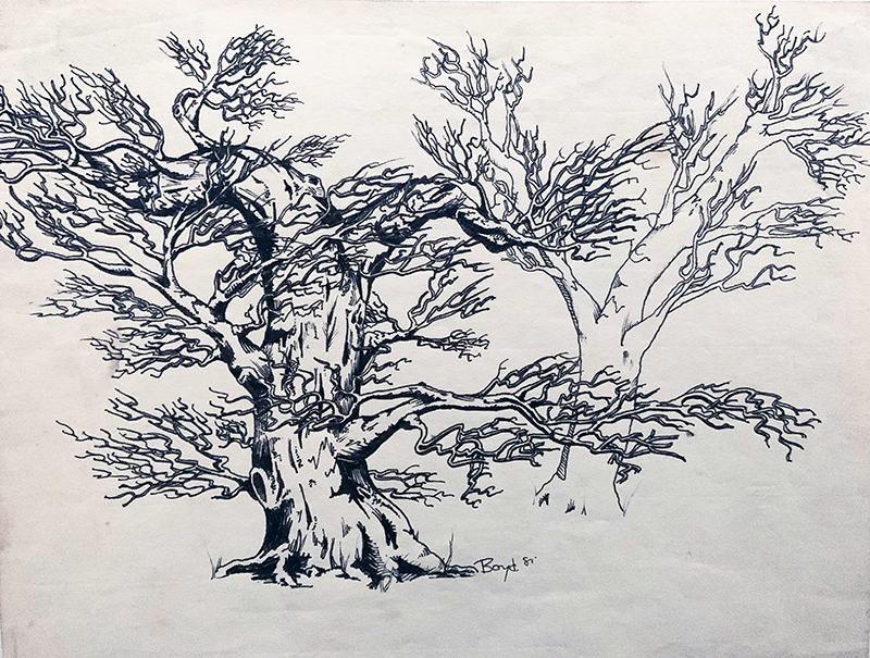 Trees